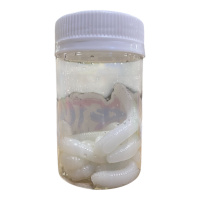 Приманка PETRO LURES STRETCH FETTI WORM 65мм цв.белый