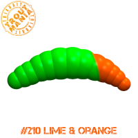 TM Lichi 1.6" -210 Lime&Orange (Cheese)