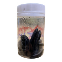 Приманка PETRO LURES STRETCH FETTI WORM 65мм цв.чёрный