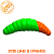 TM Lichi 1.6" -210 Lime&Orange (Cheese)