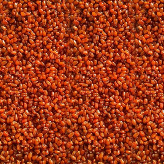 Зерновая смесь MINENKO Tropic Fruit MIX Wheat (4кг)