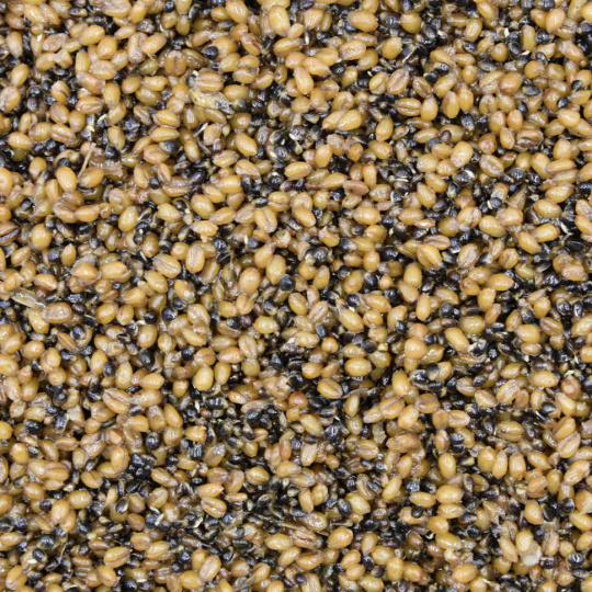 Зерновая смесь MINENKO Hemp & Wheat (1кг)