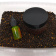 Method mix Pellets + Fluoro + Liquid Krill (криль) CARPHUNTER Method mix Pellets + Fluoro + Liquid Krill (криль) CARPHUNTER