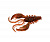 FLAGMAN Рак Dexter 3" brown flash squid 7,6см 5шт