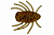 Мягк.приманки LureMax DUNG BUG 1''/3 см, LSDB1-05-004 Caramel Oil (5шт)
