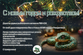 С новым годом 2025 и Рождеством!